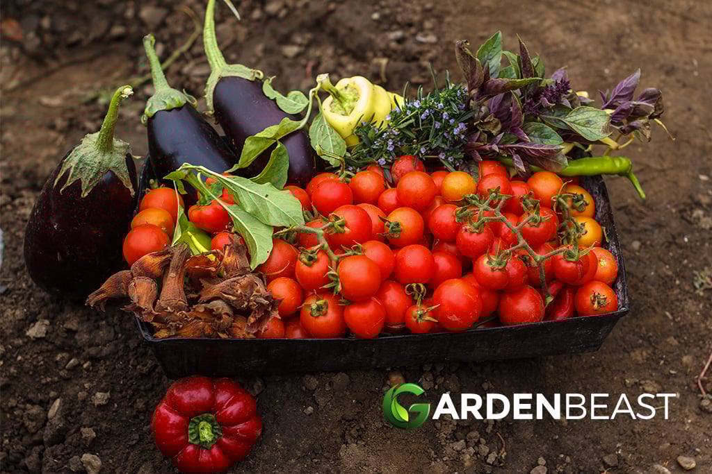 Grow Vegetables at Home