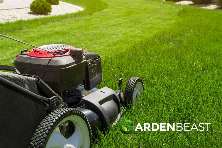 Best Push Lawn Mower Reviews 2023 Complete Guide With Pros & Cons