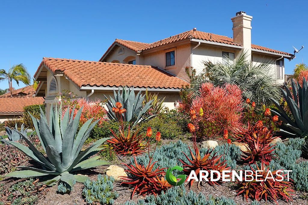 Desert Landscaping Ideas for Your Backyard: Complete Guide