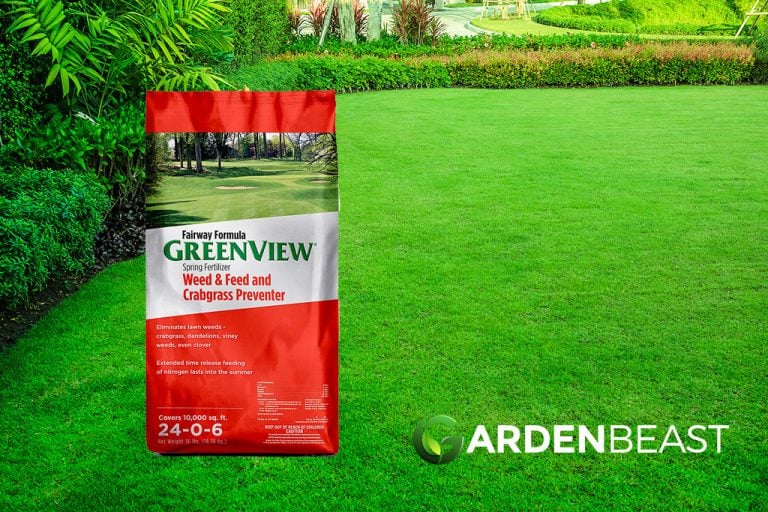 Best Weed and Feed for Lawns 2024 Reviews Complete Guide
