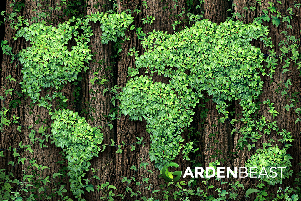 Climate Change: 33% of the World’s Plants Could Be Destroyed in Next 50 Years Climate Change