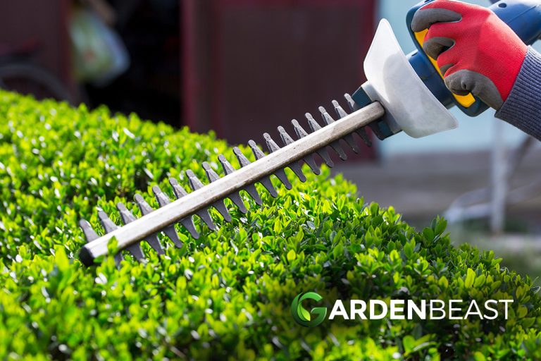 Best Cordless Hedge Trimmer Reviews 2024: Complete Buyer's Guide