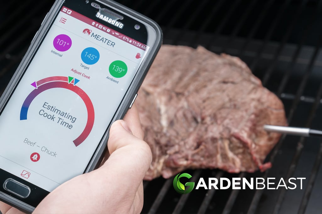 The Best Wireless Grill Thermometers of 2023