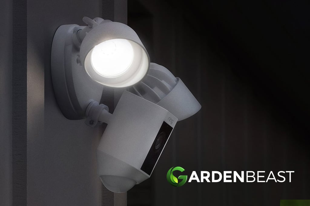 Best Floodlight Camera Reviews: Complete Buyer’s Guide