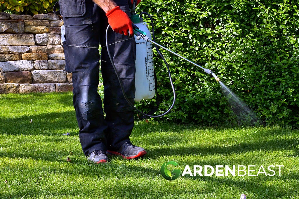 Best Garden Sprayer Reviews: Complete Buyer’s Guide