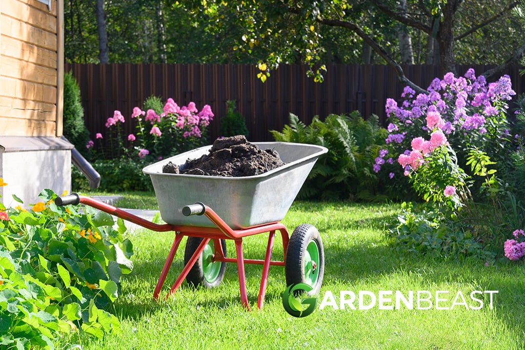 Topdressing Your Lawn