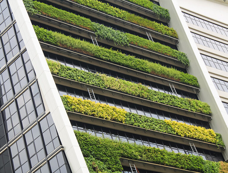 Vertical Gardens: The Ultimate Guide Packed Full of Ideas & Tips