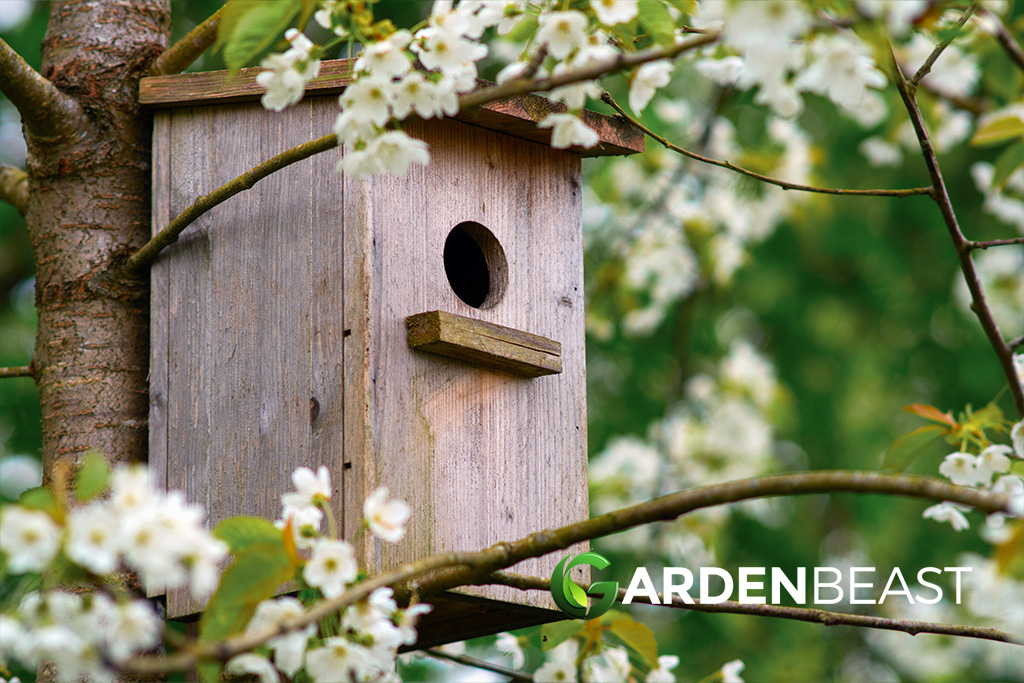 Birdhouse Guide: How to Install, Maintain & Make The Most of Them This Year Birdhouse