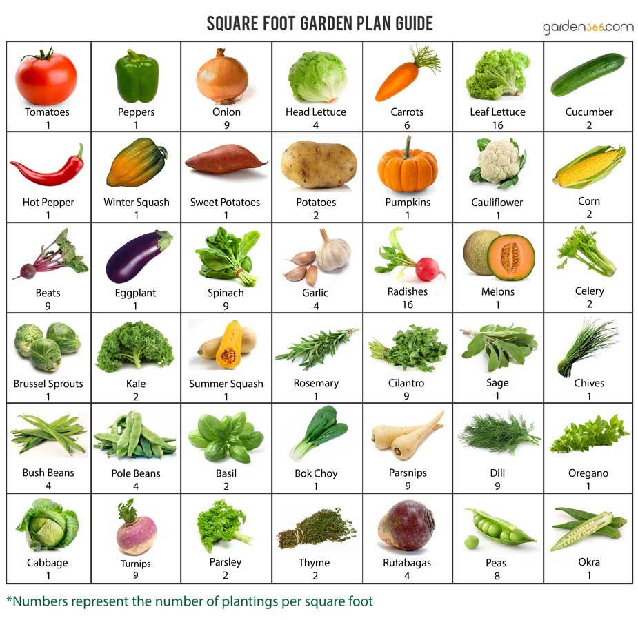 square foot garden plan by Garden365