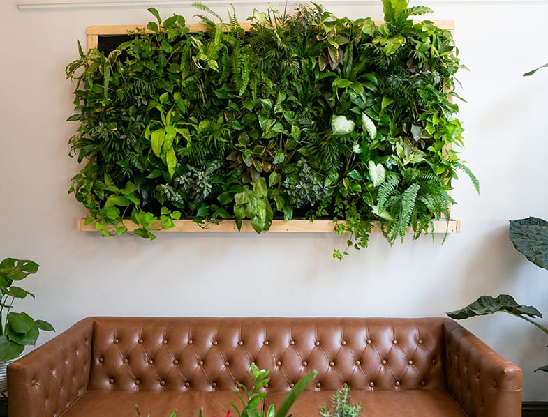 Indoor Plant Wall