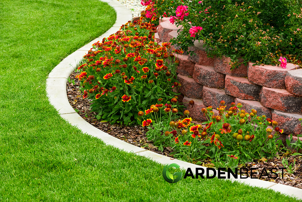 Best Border Plants For Your Garden Our Top Picks & Growing Tips