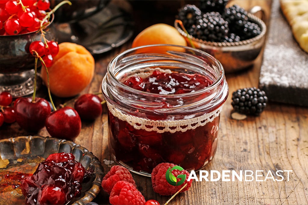 How to Preserve Fruit: 8 Different Methods (Jam, Wine, Syrups & More!) Preserving Fruits